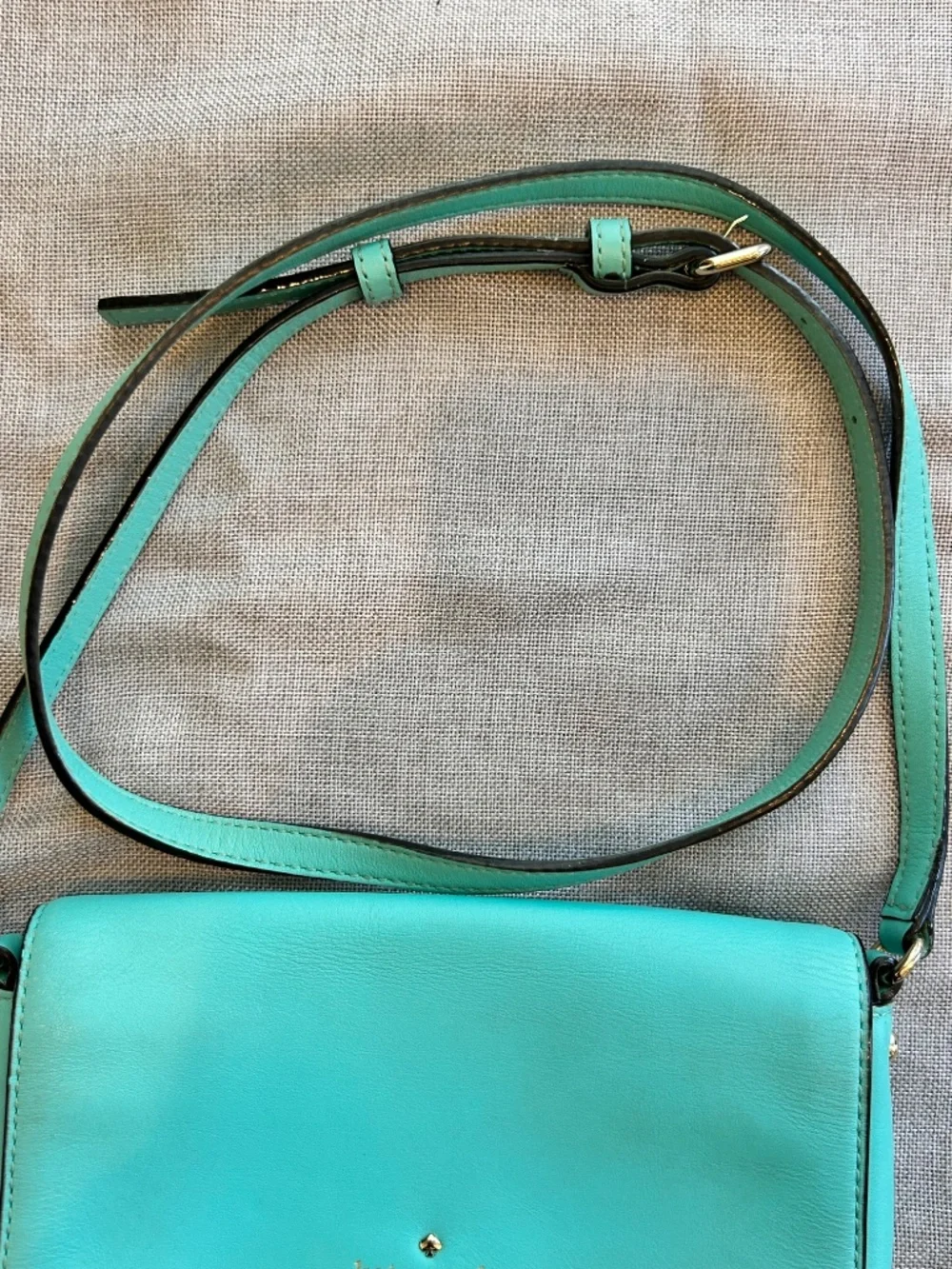 Eye Catching Kate Spade Crossbody Purse